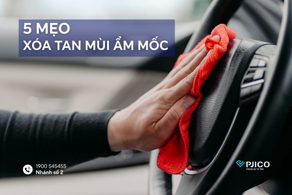 bao-hiem-than-vo-o-to