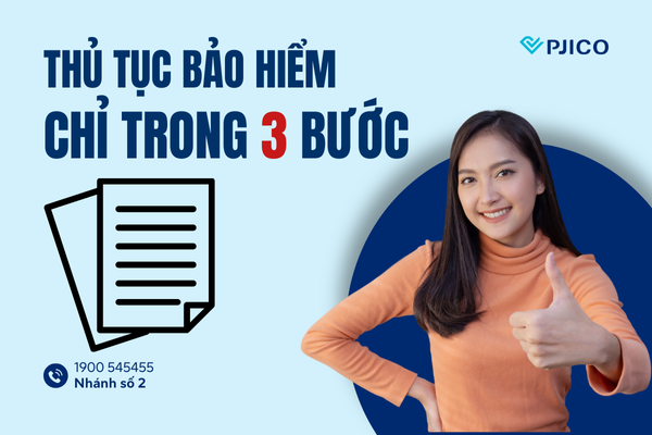 bao-hiem-du-lich-pjico